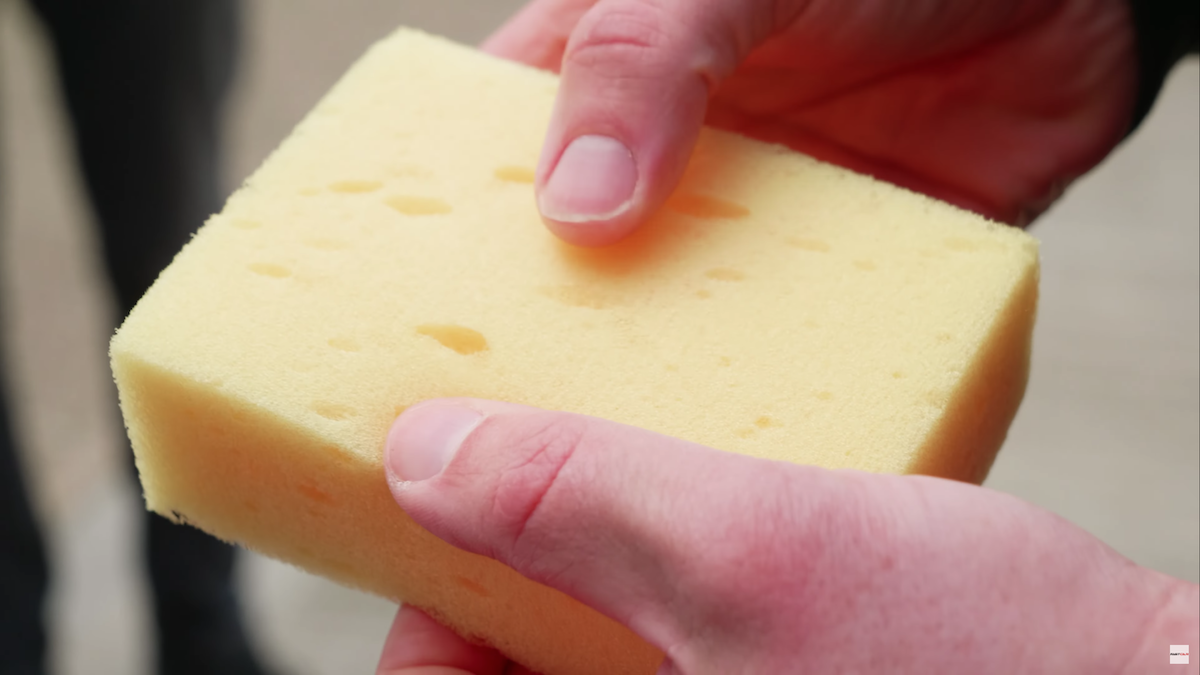 close up of a sponge