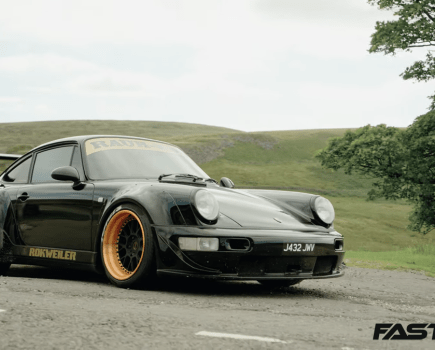 RWB Rokweiler next to a tree